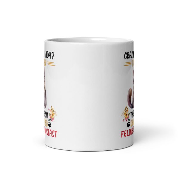 Crazy cat lady? I prefer the term dedicated feline enthusiast funny cat coffee mug / cup - Image 3