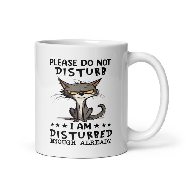 Please do not disturb I am disturbed enough already funny cat coffee mug / cup