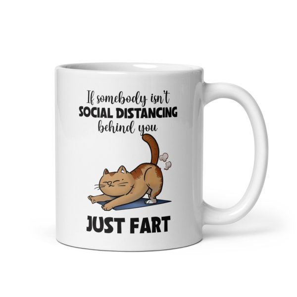 If somebody isn't social distancing behind you just fart funny cat coffee mug / cup