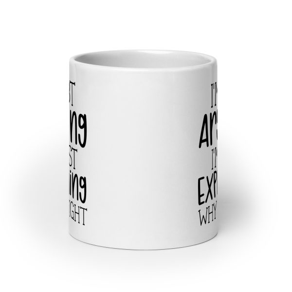 I'm Not Arguing I'm Just Explaining Why I'm Right Funny Coffee Mug / Cup - Image 9