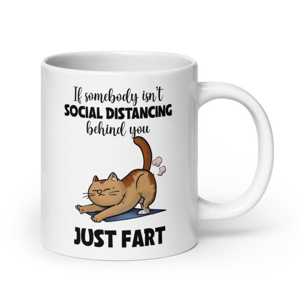 If somebody isn't social distancing behind you just fart funny cat coffee mug / cup - Image 7